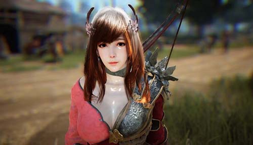 BDO Character Features BDO Character Features